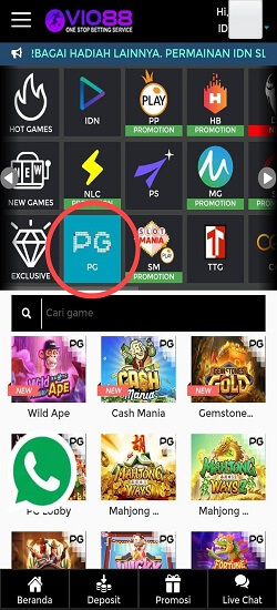 Tampilan kumpulan provider di vio88